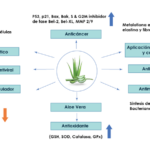 11 Causas del Deterioro de Tu Aloe Vera