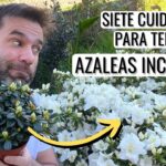 11 Claves para Cultivar Azaleas Hermosas en Macetas