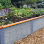 11 Consejos para Cultivar Fresas en Camas Elevadas