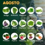 11 Cultivos Ideales para Sembrar en Agosto