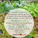 11 Cultivos Que Aún Puedes Sembrar en Octubre