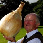 11 Fotos Impactantes de Verduras Gigantes que Te Sorprenderán