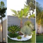 11 Palmeras Resistentes para Embellecer tu Jardín