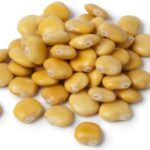 11 Problemas Frecuentes de los Lupinos