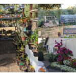 11 Proyectos Divertidos de Jardinería Invernal para Vencer el Encierro