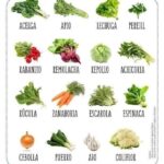 11 Semillas Ideales para Plantar en Marzo