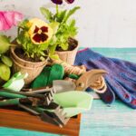 11 Tareas de Jardinería Imprescindibles para Noviembre