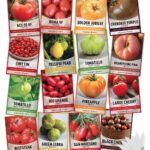 11 variedades de tomates sencillos para cultivar desde semilla