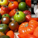 13 Claves para Tomates Dulces y Llenos de Sabor