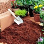 13 consejos expertos para utilizar la fibra de coco