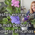13 Errores Comunes al Cuidar Tus Violetas Africanas