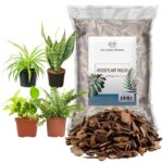 13 Plantas Ideales para un Mantillo Verde Eficaz