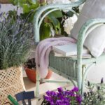 13 Plantas para Patio que Ahuyentan a las Abejas