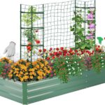 13 Plantas Perfectas para Sembrar en Camas Elevadas en Invierno