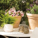 13 Plantas que No Debes Podar en Otoño