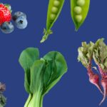 13 Vegetales Que No Debes Sembrar en Invierno