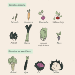 15 Árboles Ideales para Plantar en Septiembre