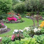 15 Arbustos Perennes Nativos para Realzar Tu Jardín Todo el Año