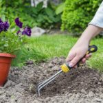 15 Claves para un Jardín en Flor Toda la Temporada
