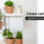 15 Consejos para Cultivar Hierbas en Espacios Reducidos