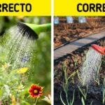 15 errores de jardinería que no querrás cometer esta primavera