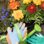 15 Flores Perenne para Sembrar Directamente en Abril