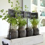15 hierbas que puedes cultivar en el alféizar de tu cocina