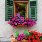 15 Impresionantes Ideas para Flores en Jardineras de Ventana