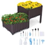 15 Plantas Esenciales para Cultivar en Camas Elevadas