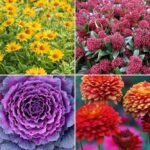15 Rosales Sencillos que Brillan en Otoño
