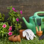 15 Tareas Esenciales de Jardinería para Realizar en Junio