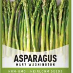 15 Variedades de Espárragos para Cultivar en tu Jardín