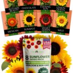 15 Variedades de Girasoles Enanos para Cultivar Esta Temporada