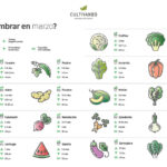 15 Vegetales para Sembrar al Comenzar Marzo