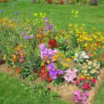 15 Ventajas de Cultivar Flores en Tu Huerto Vegetal