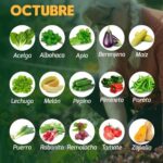 17 Cultivos Ideales para Sembrar en Octubre