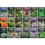 17 Plantas Que Encantan a los Niños para Cultivar Desde Semilla