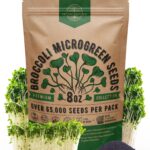 17 Semillas de Larga Germinación para Plantar en Diciembre