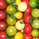 17 Variedades de Tomates Cherry para Tu Huerto de Verano