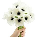18 Plantas con Impresionantes Flores Blancas y Negras
