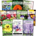 19 Flores Comestibles para Cultivar en Tu Jardín