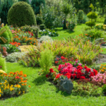 19 Plantas Ideales para Jardines Elevados en Climas Lluviosos