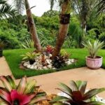 19 Plantas Perennes Para Jardines en Florida