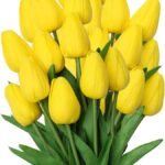 20 variedades de tulipanes amarillos para iluminar tus jardines