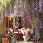 21 Enredaderas Impresionantes y de Rápido Crecimiento para tu Jardín