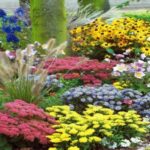 21 Flores Perennes Perfectas para un Jardín de Corte