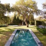 21 Plantas Ideales para Cultivar Junto a Tu Piscina