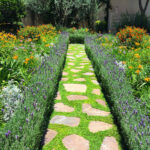 21 Plantas para Jardines de Estilo Moderno de Mitad de Siglo