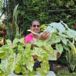 21 Plantas que No Cultivaríamos Otra Vez