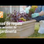21 Regalos Imprescindibles para Amantes de la Jardinería